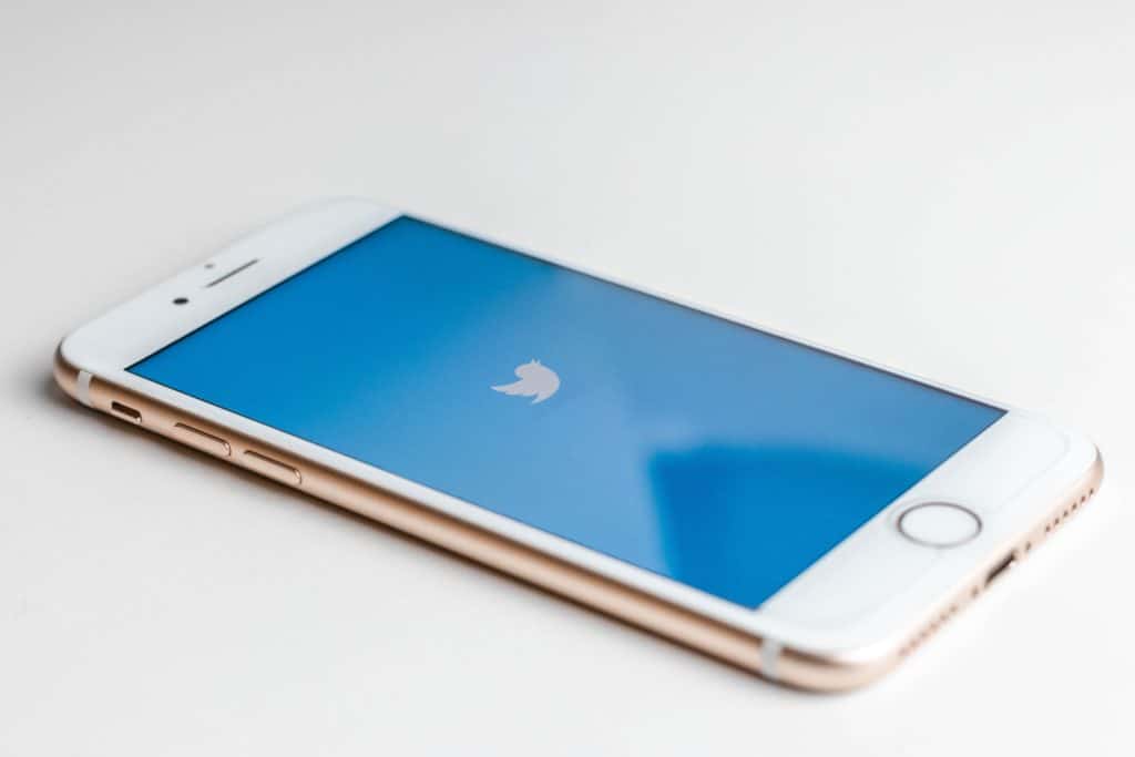 phone showing twitter logo