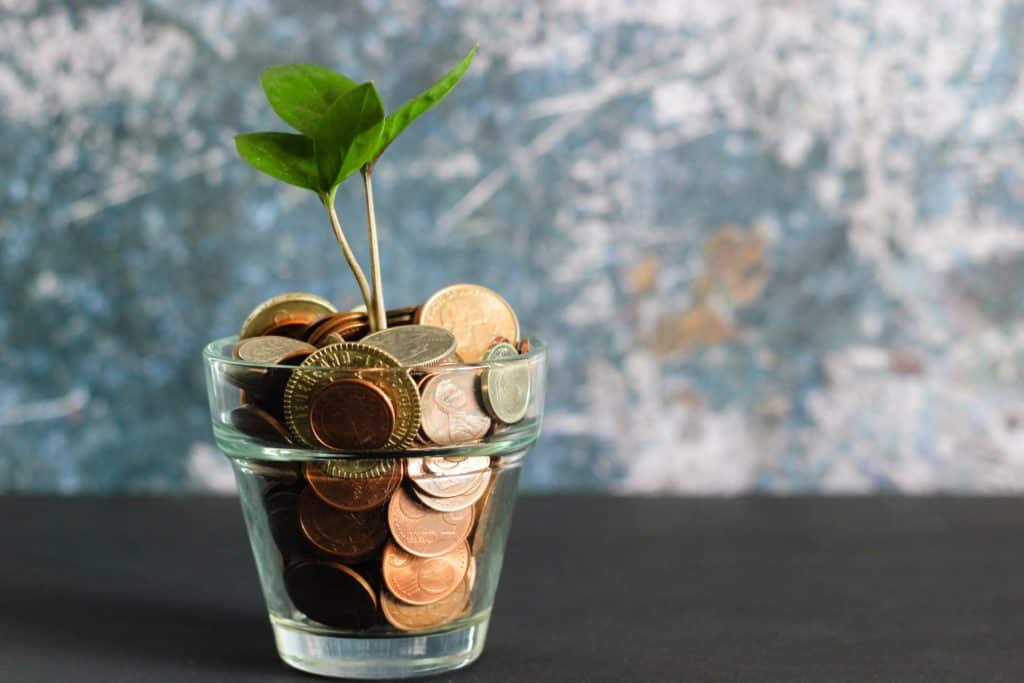 social consultants near me: cost
