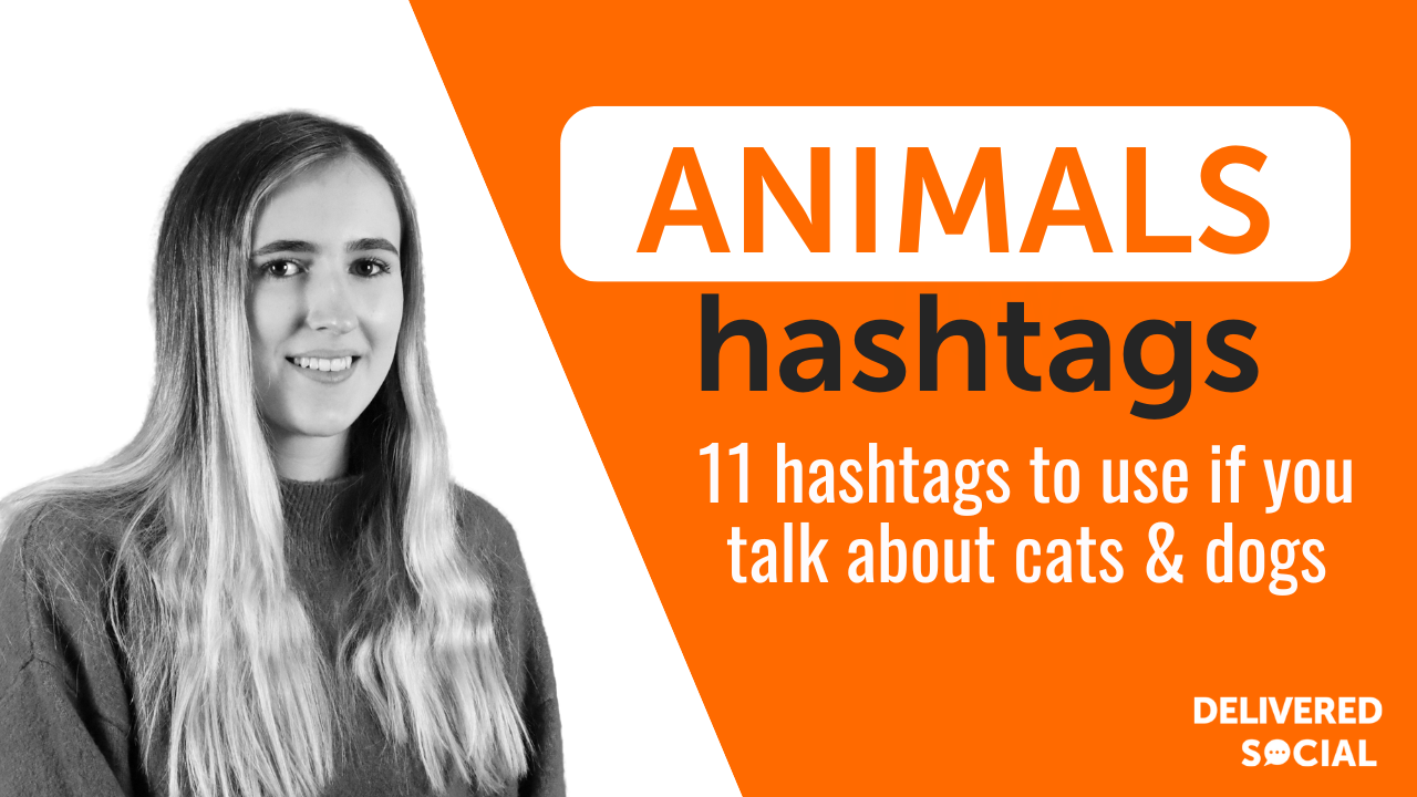 animal hashtags