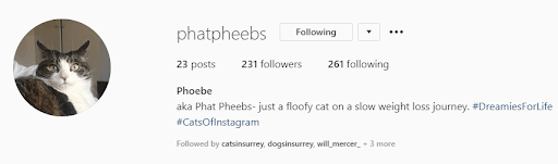 Phat Pheeb's Instagram bio