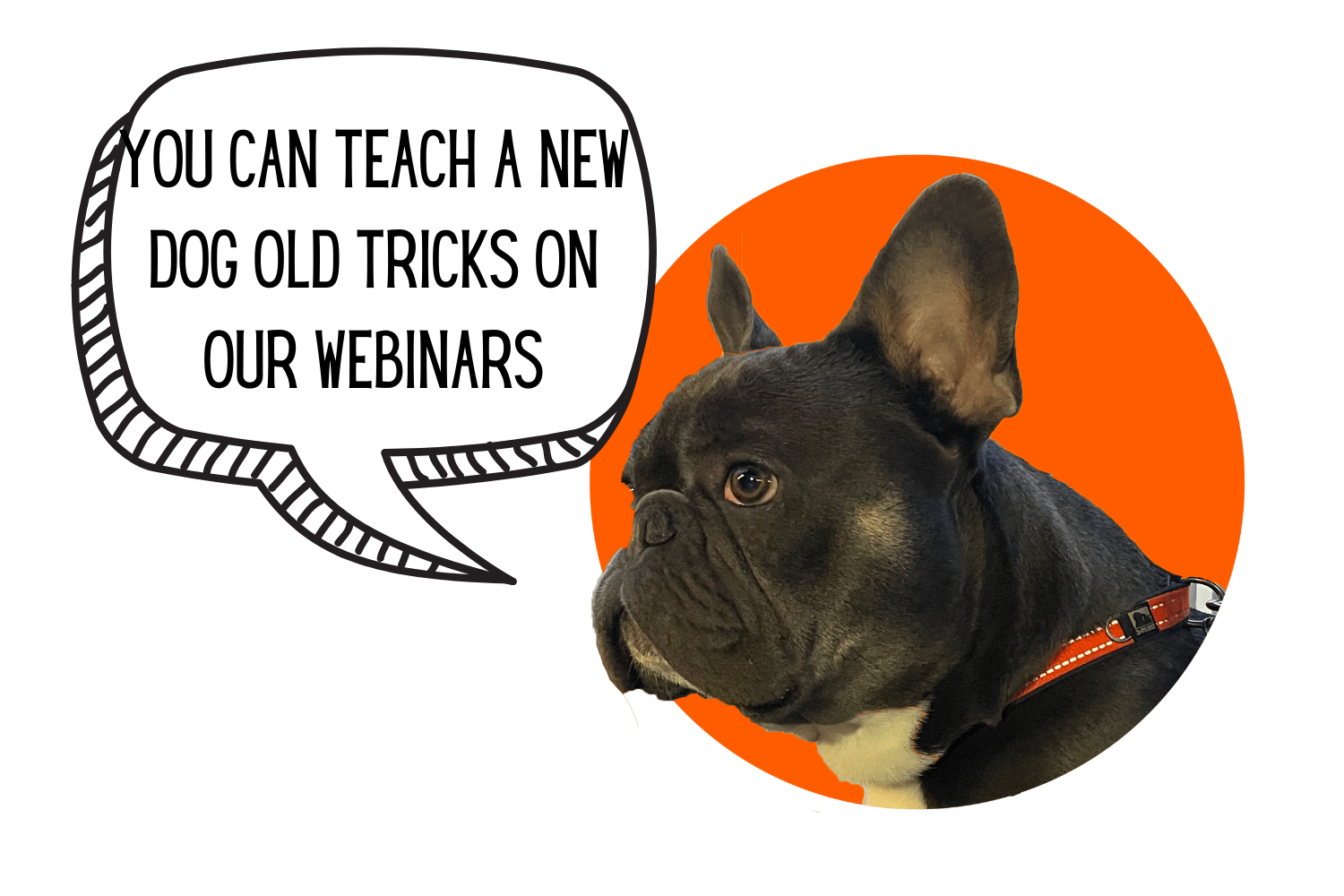 Delivered Social Webinars