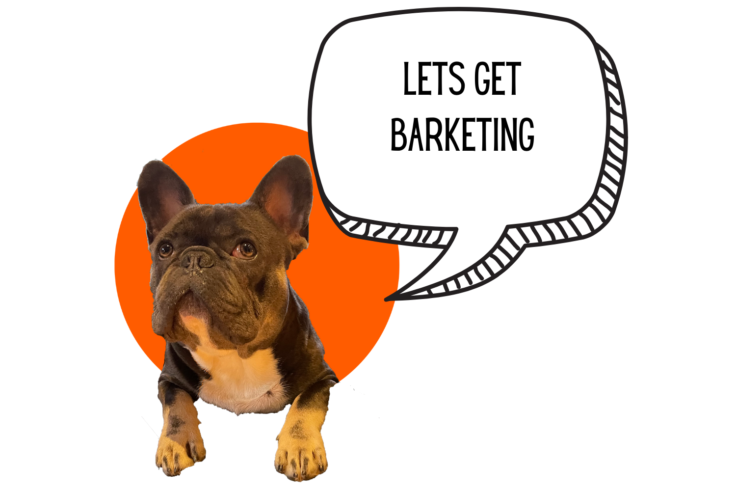 Lets get barketing