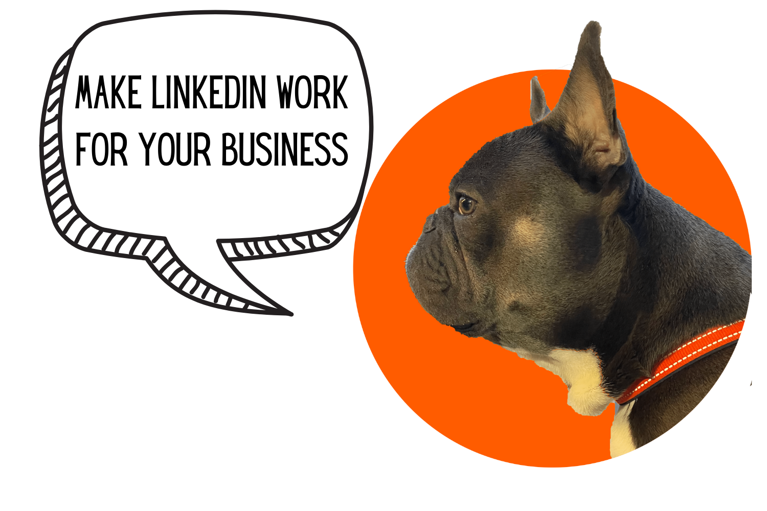 Linkedin Social Media Services