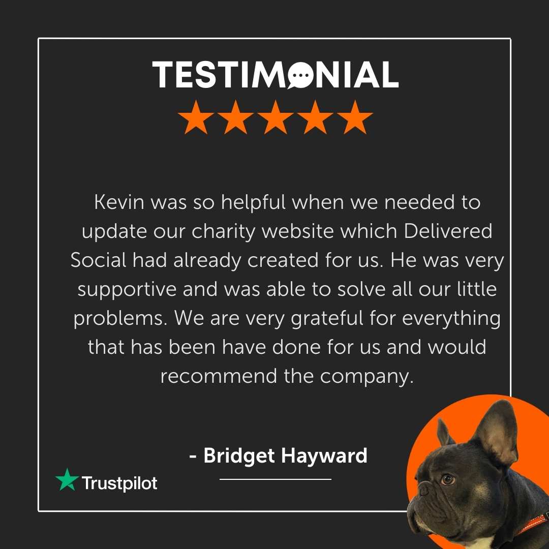 Delivered Trustpilot reviews NEW