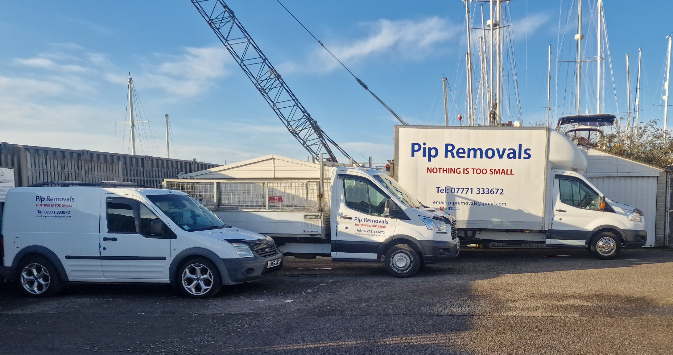 Pip Removals