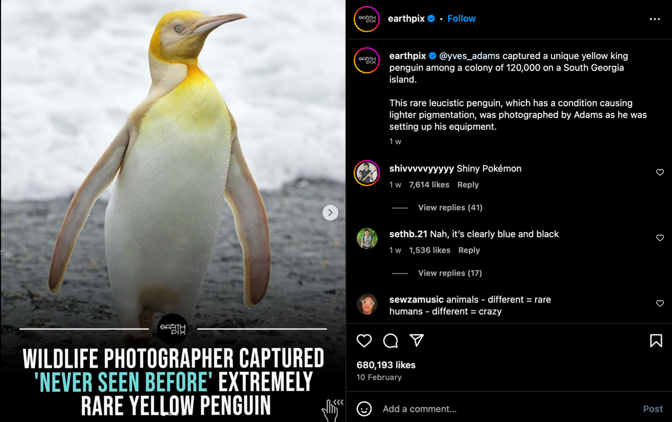 Increase Your Instagram Followers And Grow Organically - Screenshot from @earthpix on Instagram