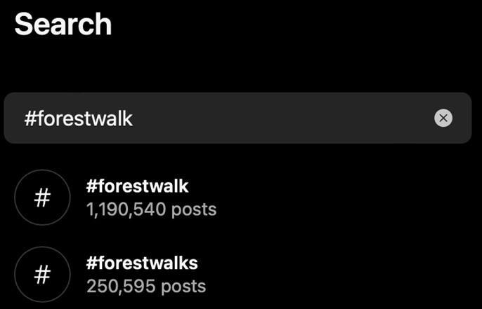 Increase Your Instagram Followers And Grow Organically in 2024 - Screenshot from Instagram’s Search Bar for Forest Walk
