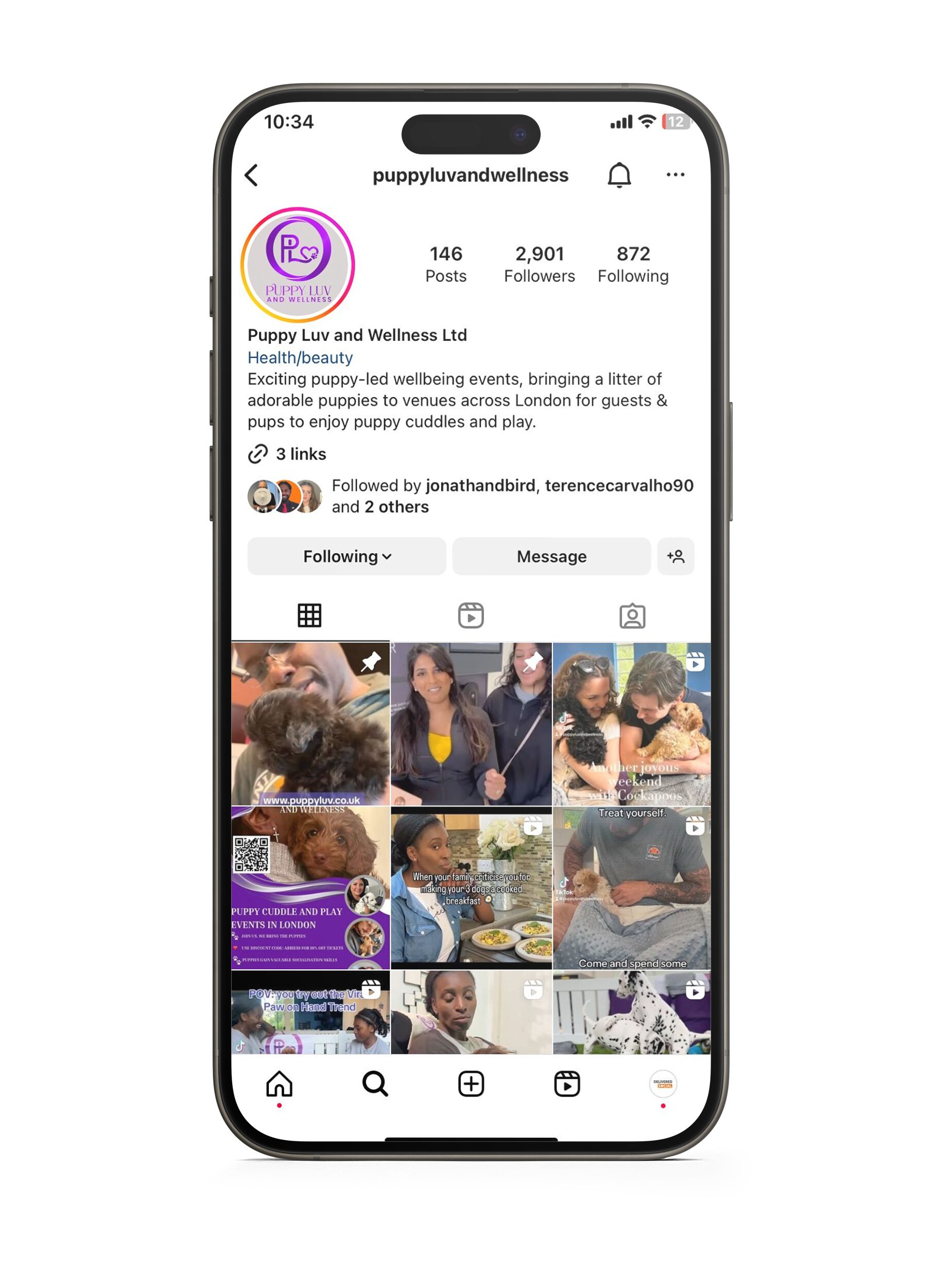 Puppy Luv and Wellness Puppy Luv and Wellness