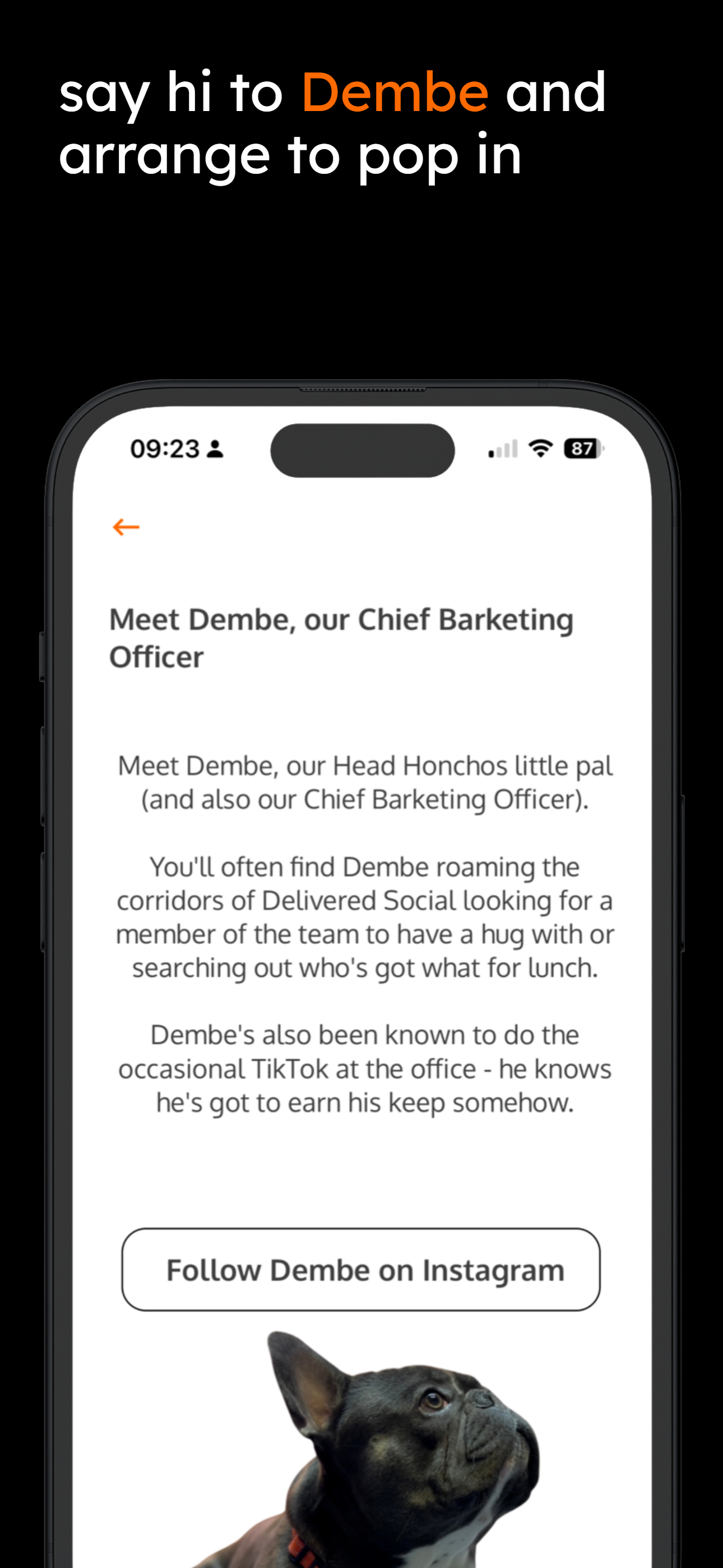 Delivered Social App Meet Dembe