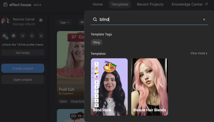 Editing A Current Template - Creating Your Own TikTok Template With Effect House