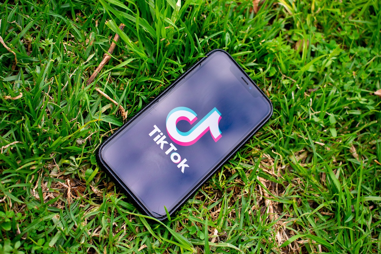 TikTok on Iphone - How To Grow Followers on TikTok Delivered Social Blog