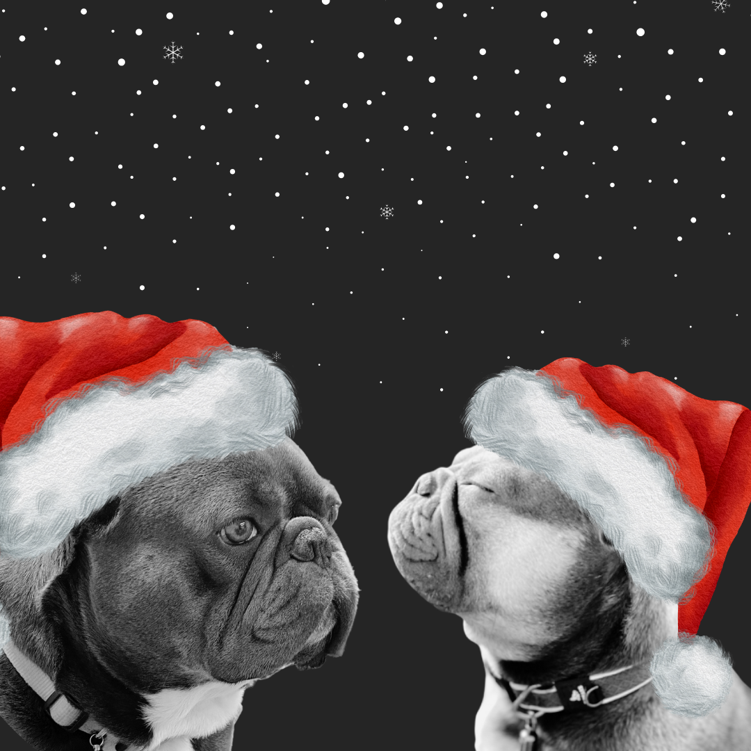 Dembe and Delenn wish our customers a Merry Christmas