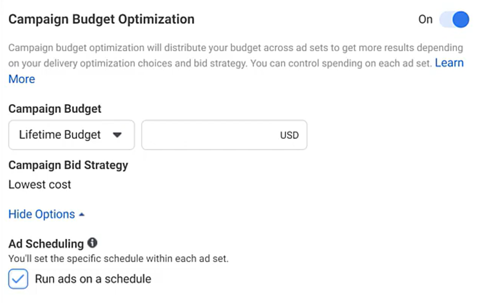 Campaign Budget Optimisation