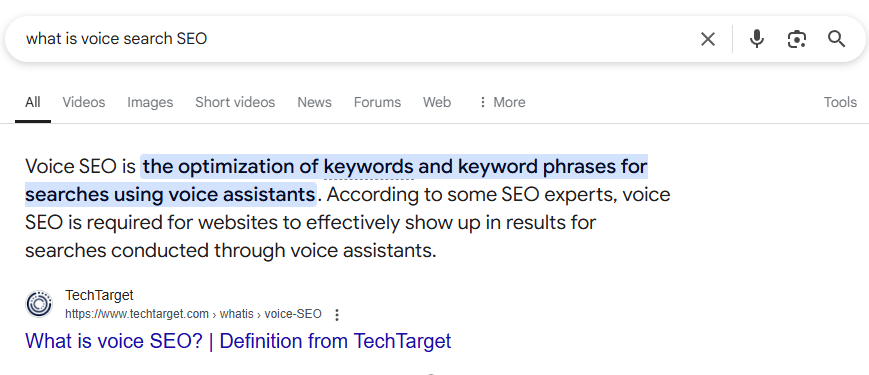 08 Voice Search Optimisation - Featured Snippet Example
