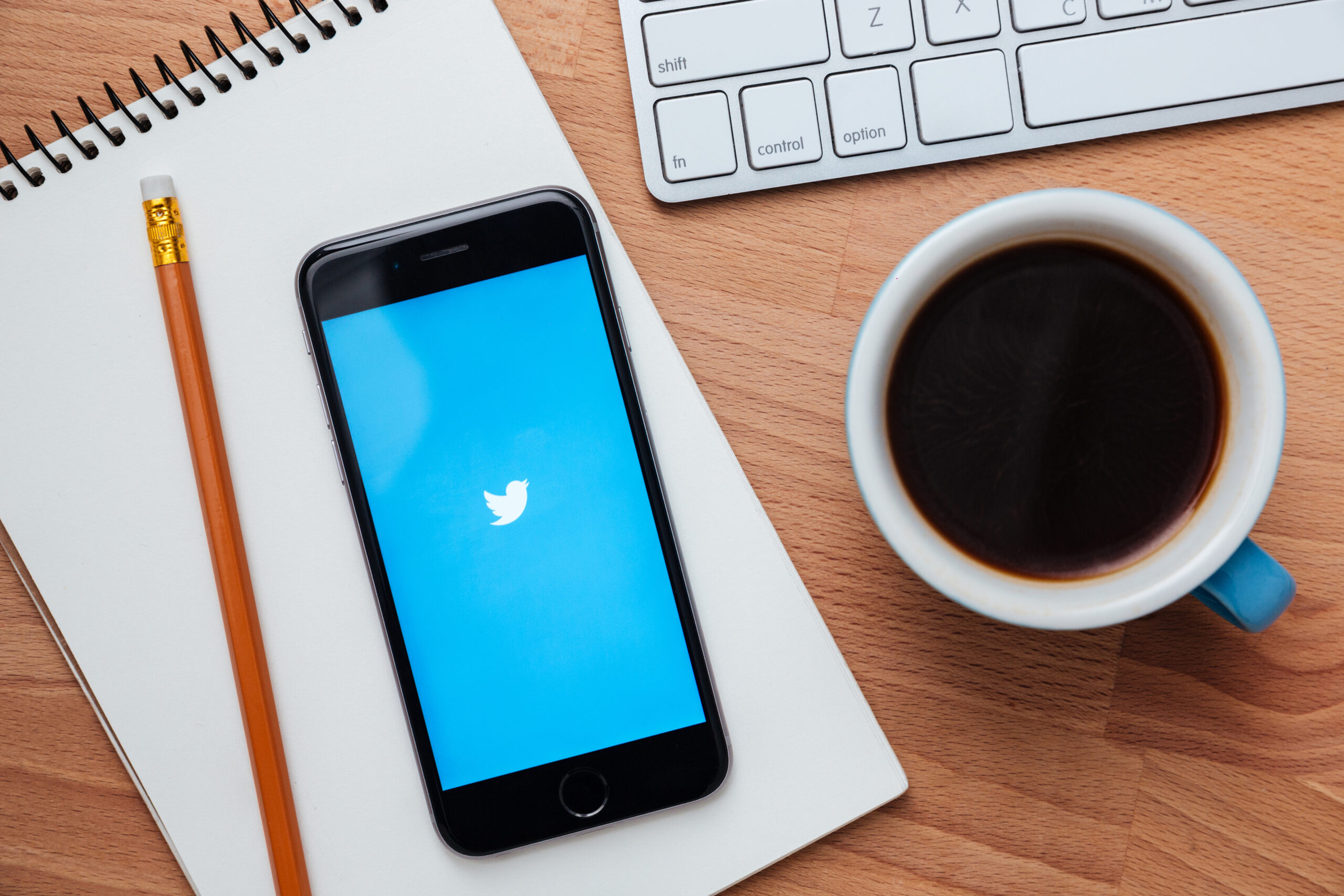 Bluesky vs Twitter - iphone screen showing twitter logo