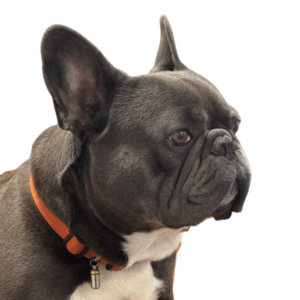 Dembe