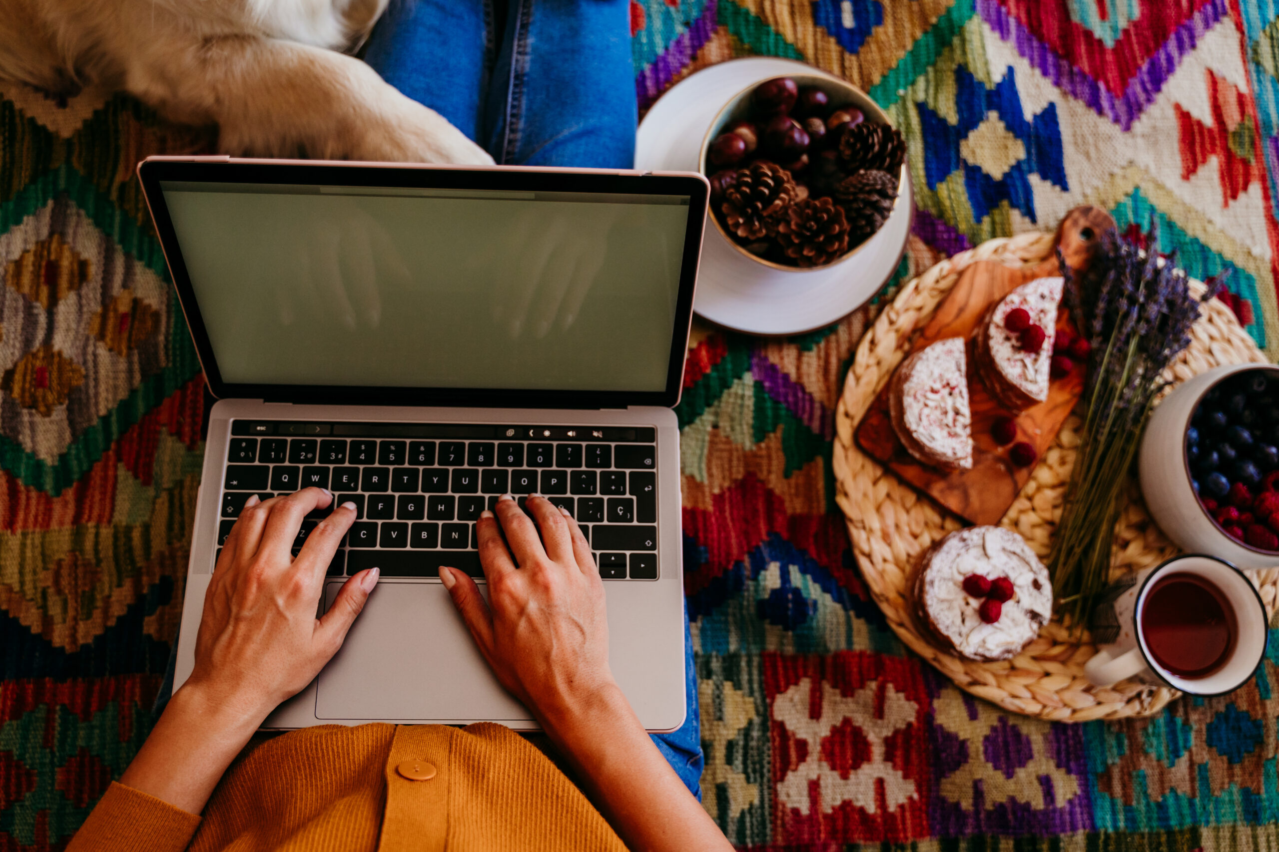 How to Plan Your Blog Content Effectively - young person on laptop