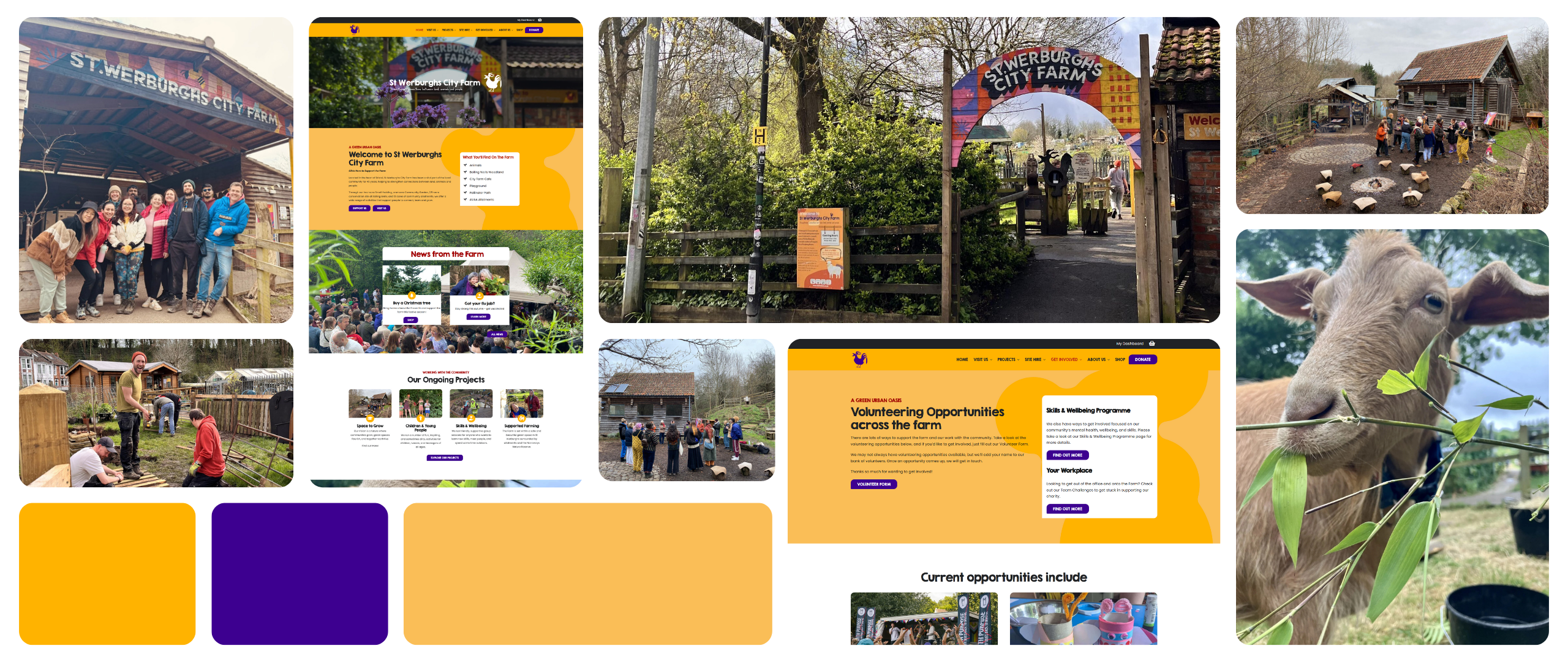 St Werburghs City Farm Website St Werburghs City Farm Website