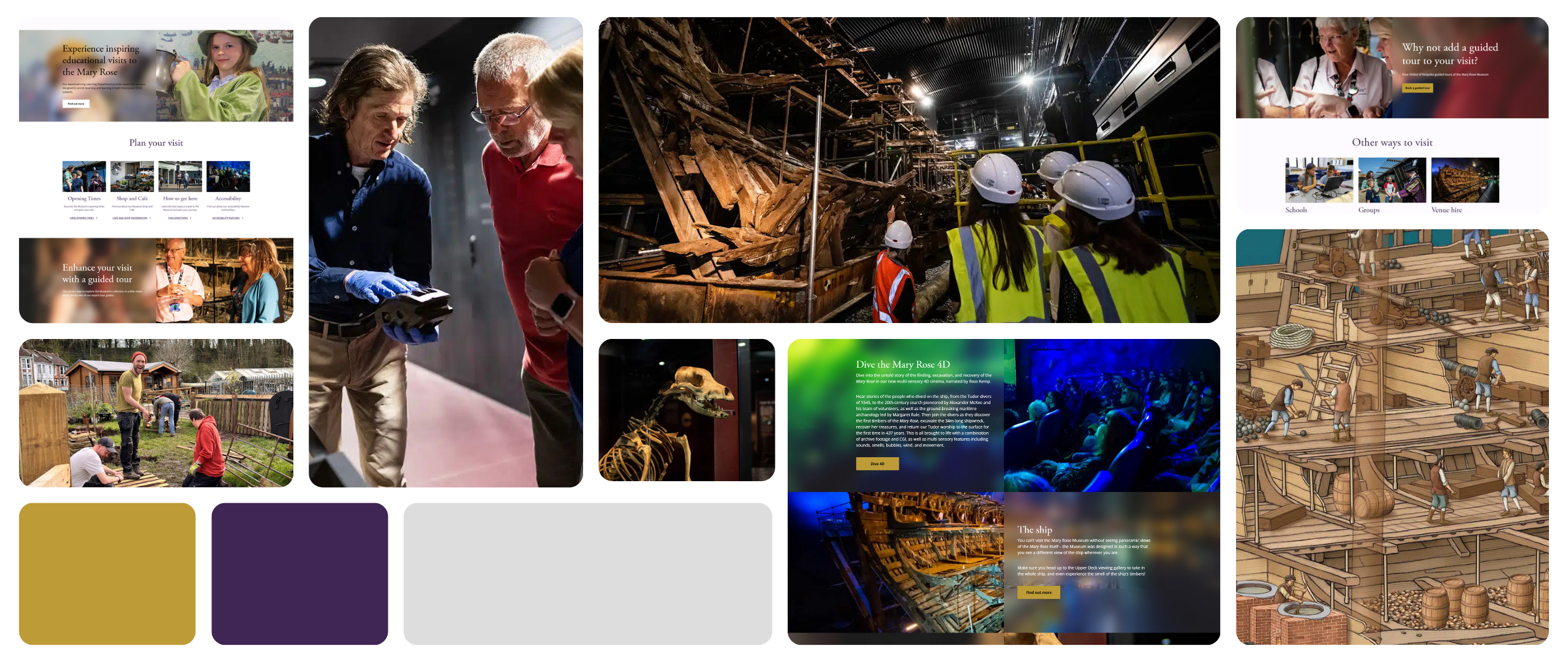 The Mary Rose Website