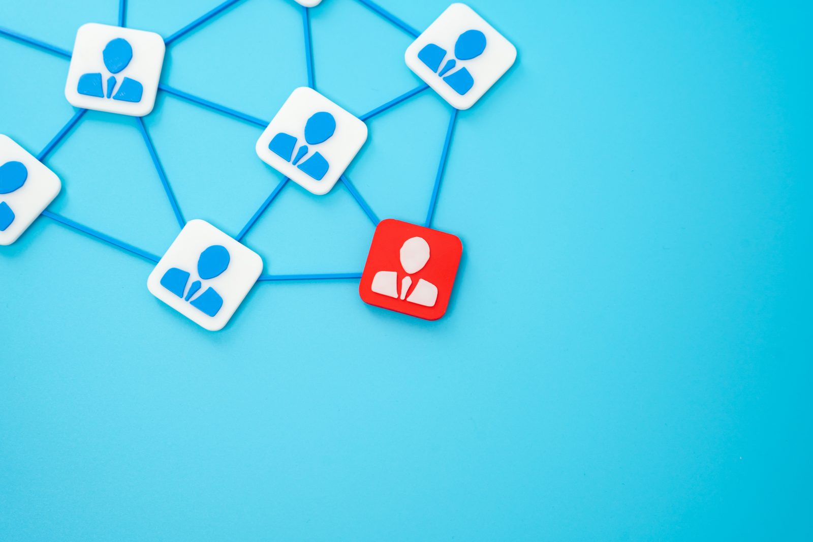 What Is Web Hosting and Why Your Business Needs It