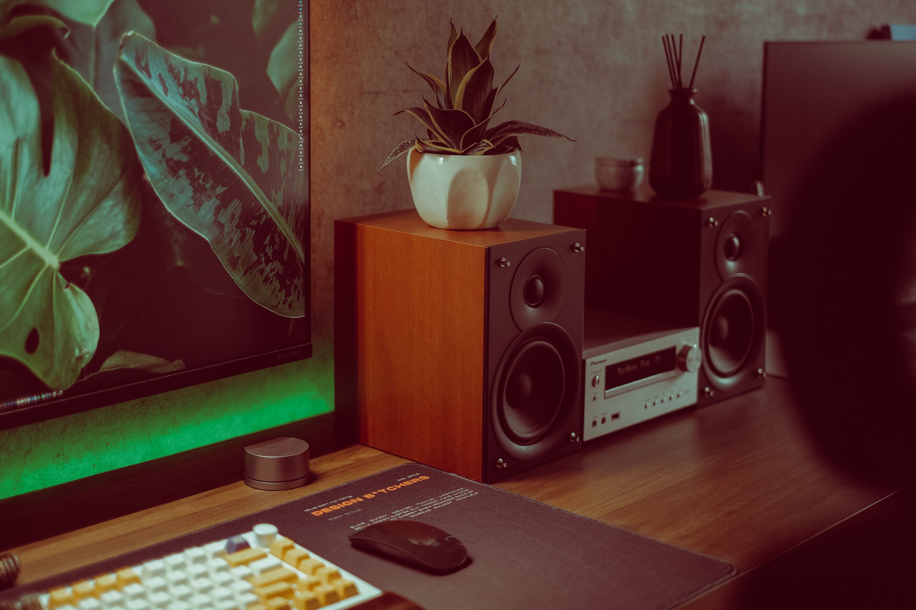 Stylish modern desk setup featuring wooden speakers, monitor, and indoor plant decor.